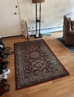 5 rugs (various shapes and prices) 1