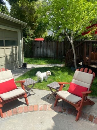 Room available in 4BD3BA house near campus 1