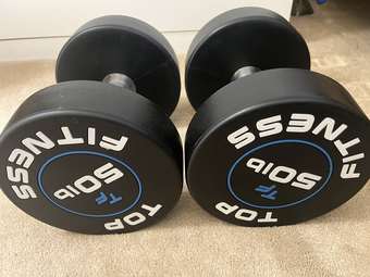 Dumbbells (50lbs) 2