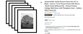 Picure Frames 16x20. Set of 5 $20 2