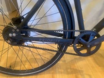 Priority Continuum Onyx 19" + lock + helmet 3