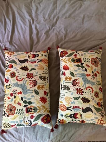 2 cute IKEA pillows 1