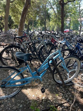 Cruiser style bike + new handles! 1