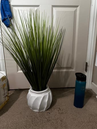 Virtual Garage Sale: Desk Chair, Bookshelf, Blender & More! 1