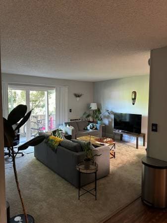 Master Bedroom in 2b/2ba (Male) 2