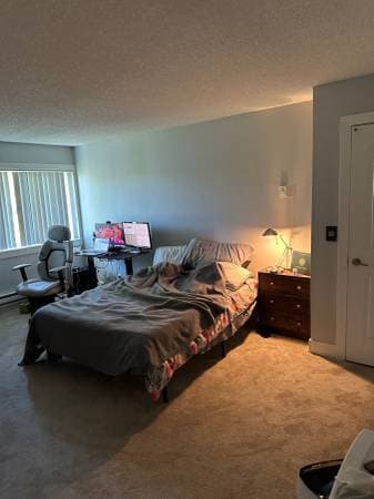 Master Bedroom in 2b/2ba (Male) 4