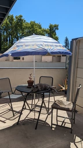 Roommate Wanted in Redwood City 4