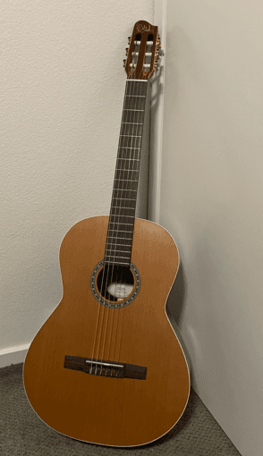 Classical Guitar (Godin Presentation) 1