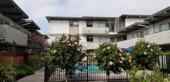 Furnished bedroom in 2B1B Apt near Downtown Mountain View from 1 Aug 4