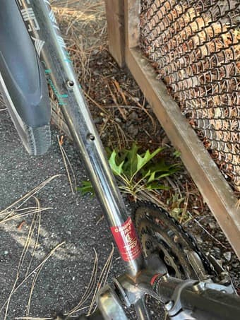 Seeling vintage bike, on-campus 3