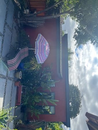 Beautiful 1B1B cottage available in Menlo Park 4