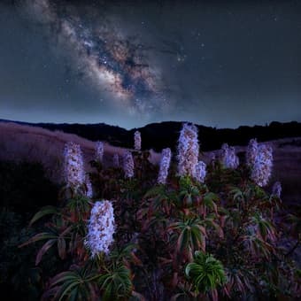 Night Photography Workshop Limited Spots for July 27th to August 10th 2