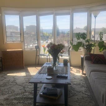 Beautiful Coffee Table for Sale - Special Offer for Stanford Students! 1