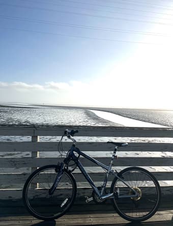 Trek bike with Ulock and basket 1