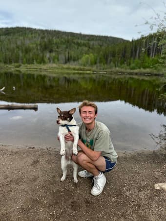 Available for Petsitting! 1