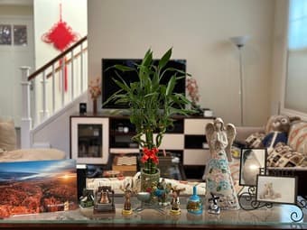 On-campus furnished bedroom in a beautiful house available 8/11 4