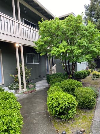 [August 1st] 2 beds 1 bath House -- Alma St, Palo Alto 1