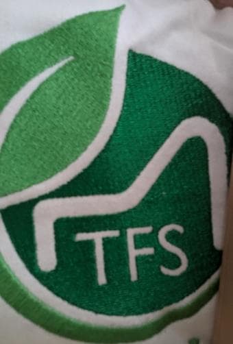 Bed w/ organic latex queen mattress 4