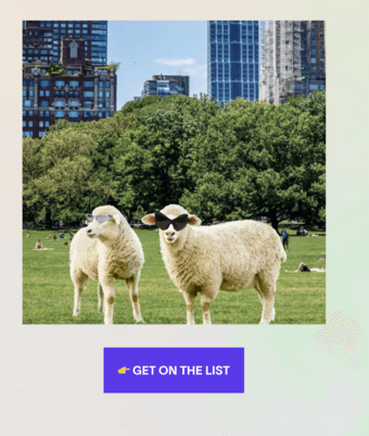 International Student Picnic 2