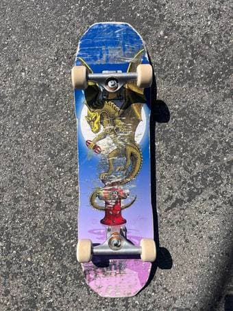 Andy Anderson Baby Heron Flight Powell Peralta Complete Skateboard 1