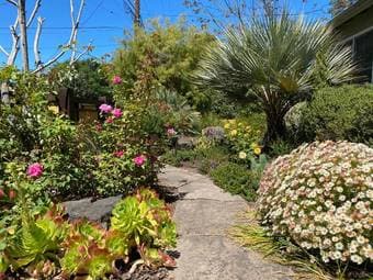 Private BR/BA for rent in a beautiful single family house (Palo Alto) 3