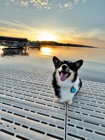 Wanted: Bay Area Housing 1