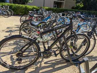 Neon green/black bike, 29" wheels 1