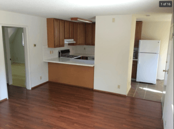 Room in sunny downtown PA apartment 1