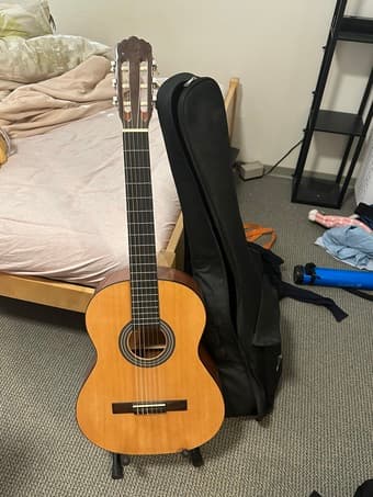 Donner 39 inch (Full size) Beginner Guitar 1
