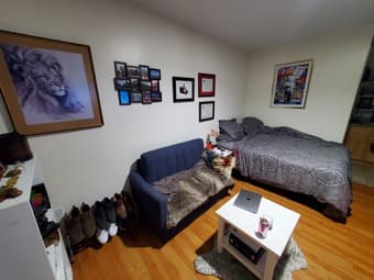 Studio sublet - fully furnished - Sept 17-Nov 3 (read whole ad) 1