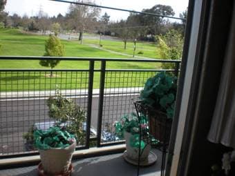 A beautiful park-view room, just 3 miles from campus, now available 3
