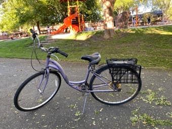 Step through cruiser bike 1