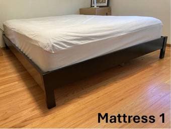 FREE Two Queen Mattresses 4