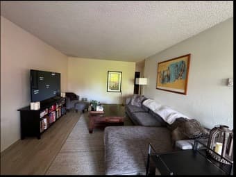 Spacious 1 bedroom/ 1 bath ~800 sq ft| 6 month lease | pool & sauna 3