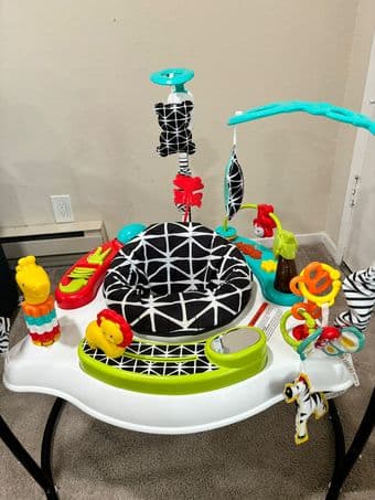 Fisher-Price Baby Bouncer for sale 1