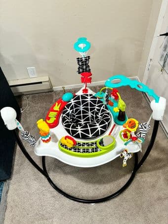 Fisher-Price Baby Bouncer for sale 3
