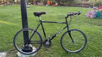 Large Giant Iguana Bike 1