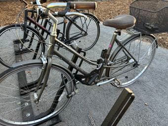 ELECTR bike (dutch style) 1