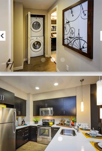 Spacious 1 Bed, 1 Bath Apartment in the Heart of Redwood City 1