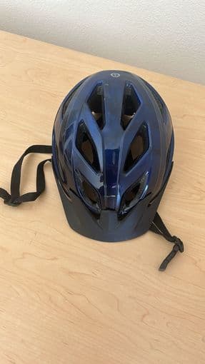 schwinn bike helmet for $20 2