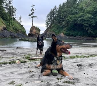 2 Stanford Nurses Looking for Housing! 1