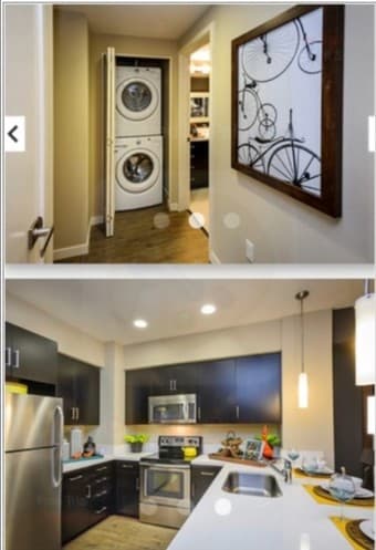 Spacious 1 Bed, 1 Bath Apartment in the Heart of Redwood City 1