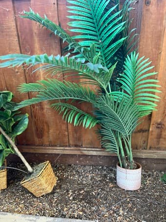 Set of 2 Artificial Areca Palm Trees 3