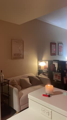 Selling Ikea couch (loveseat, linanas) 1