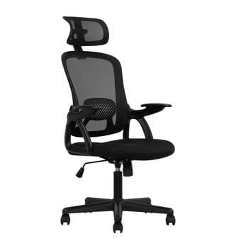Ergonomic Chair 1