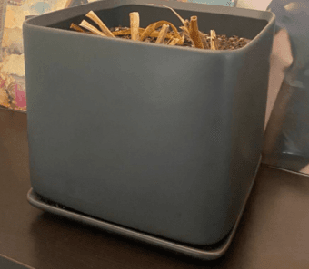 Three Ceramic Plant Pots for Sale - Includes 2 live plants! 3