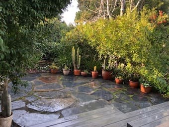 on campus studio for rent 1