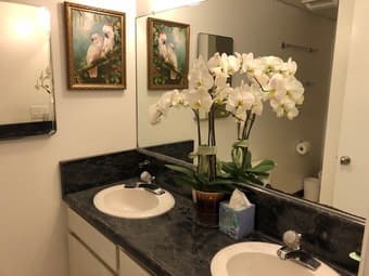 on campus studio for rent 3