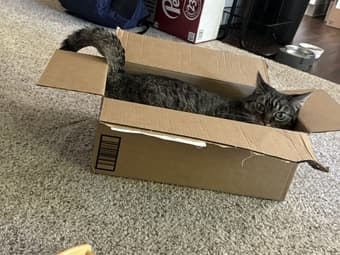 bedroom w/ private bathroom (Middle Plaza Menlo park) 2