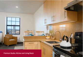 EVGR Premium Studio Thanksgiving through New Year (1.5 month) 1